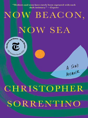 cover image of Now Beacon, Now Sea